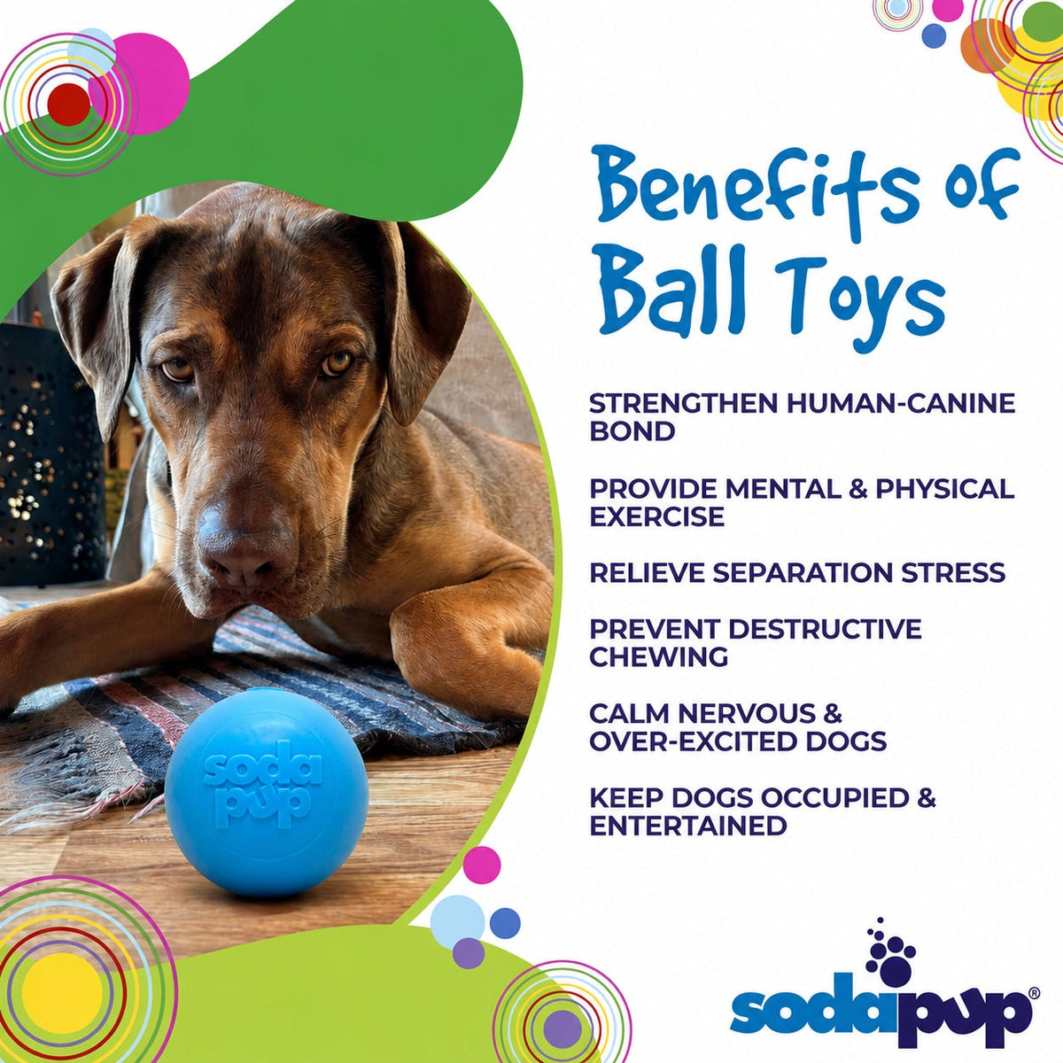 SodaPup Squeak Ball Floating Dog Toy