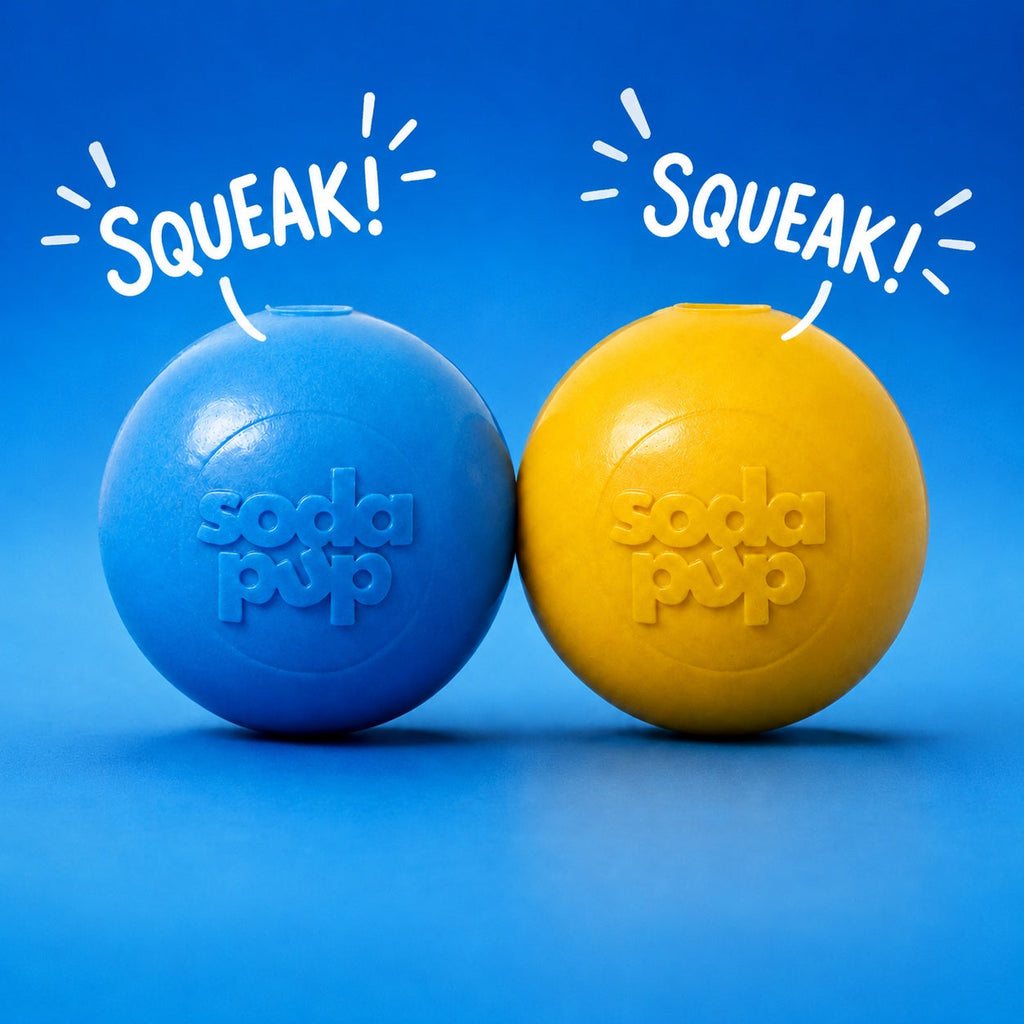 SodaPup Squeak Ball Floating Dog Toy