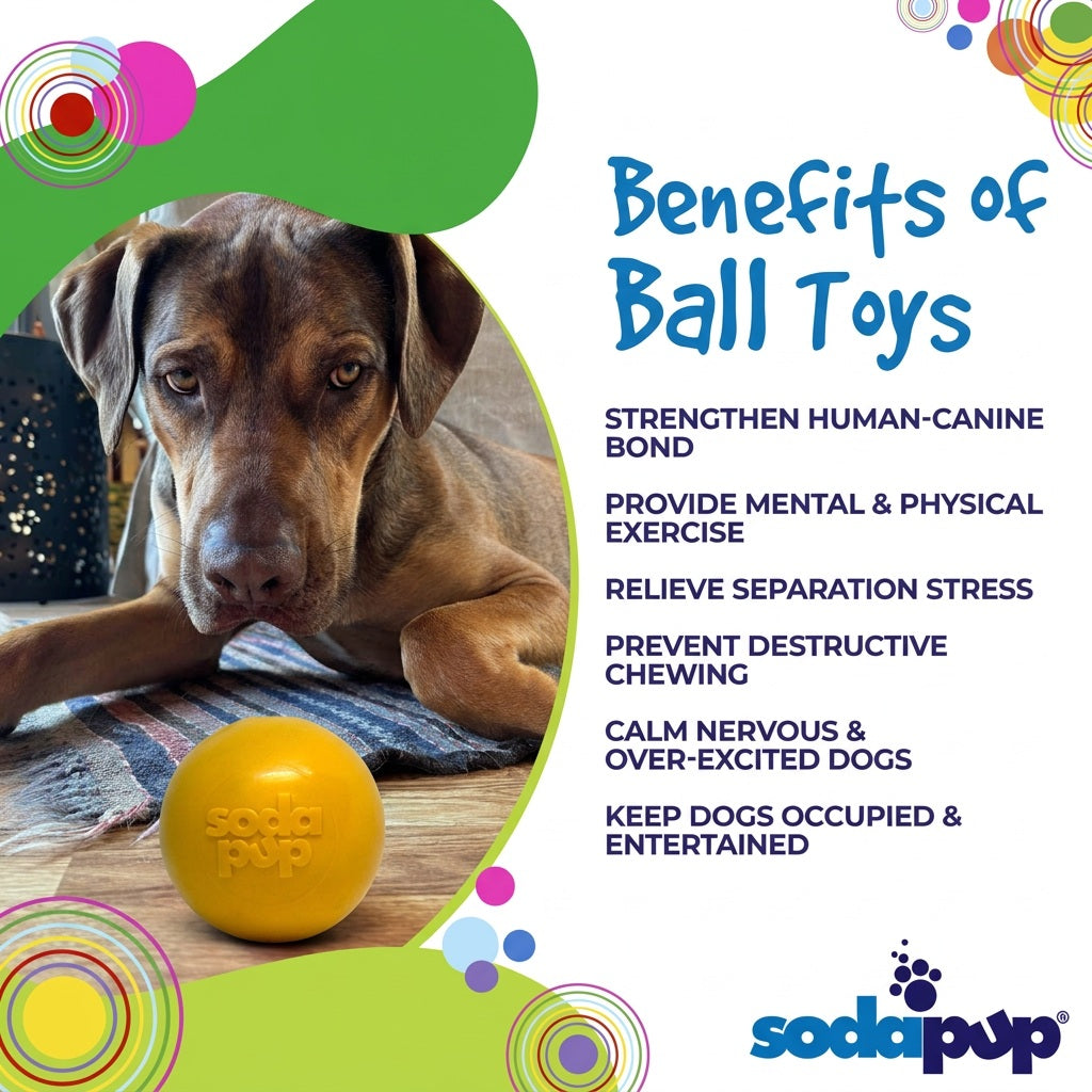 SodaPup Squeak Ball Floating Dog Toy