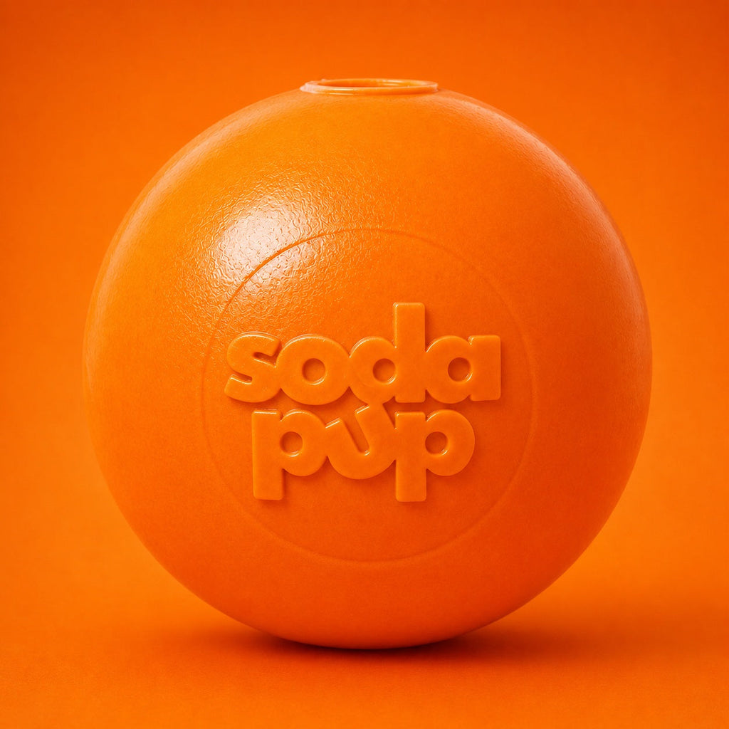 SodaPup Squeak Ball Floating Dog Toy