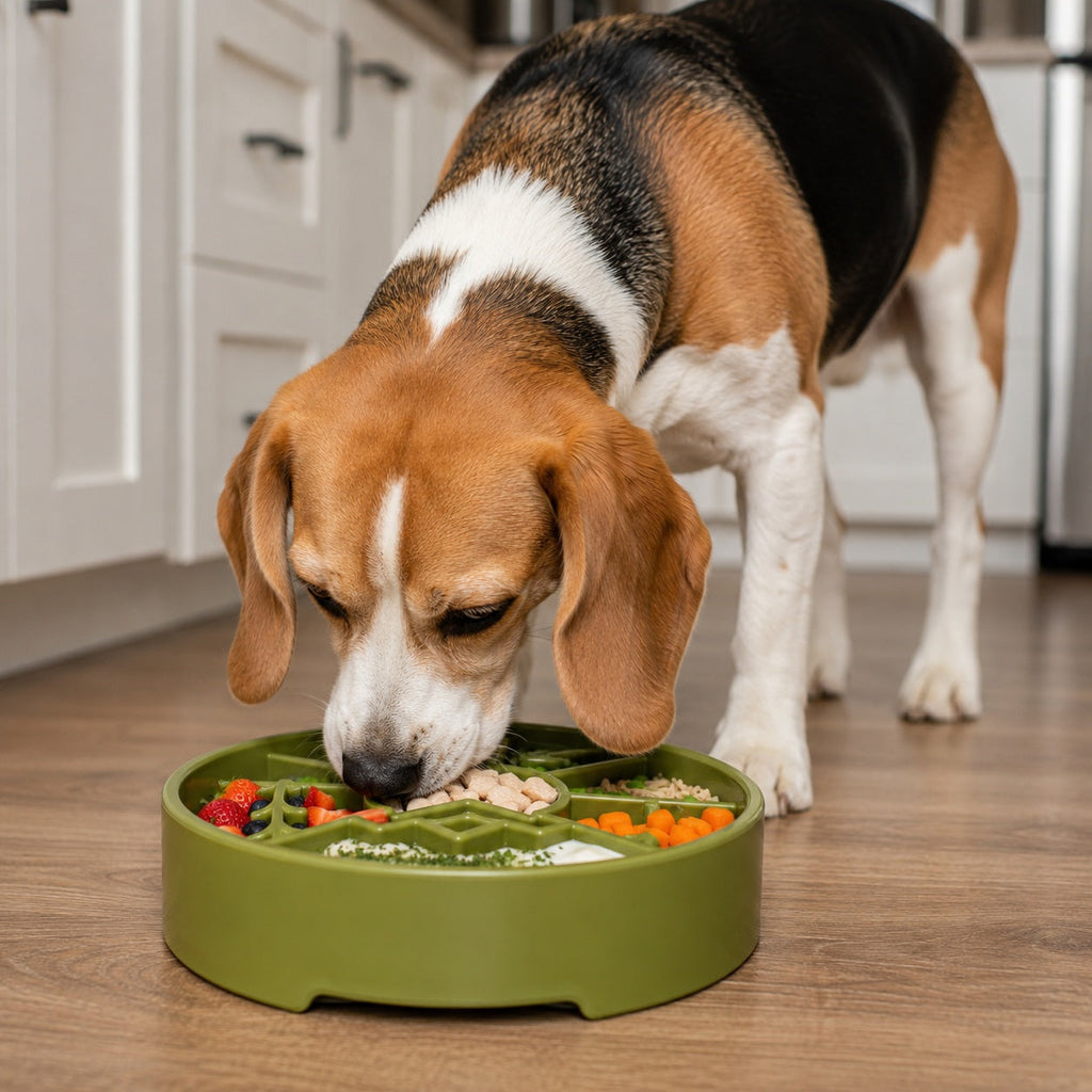 SodaPup Great Outdoors Slow Feeder Dog Bowl