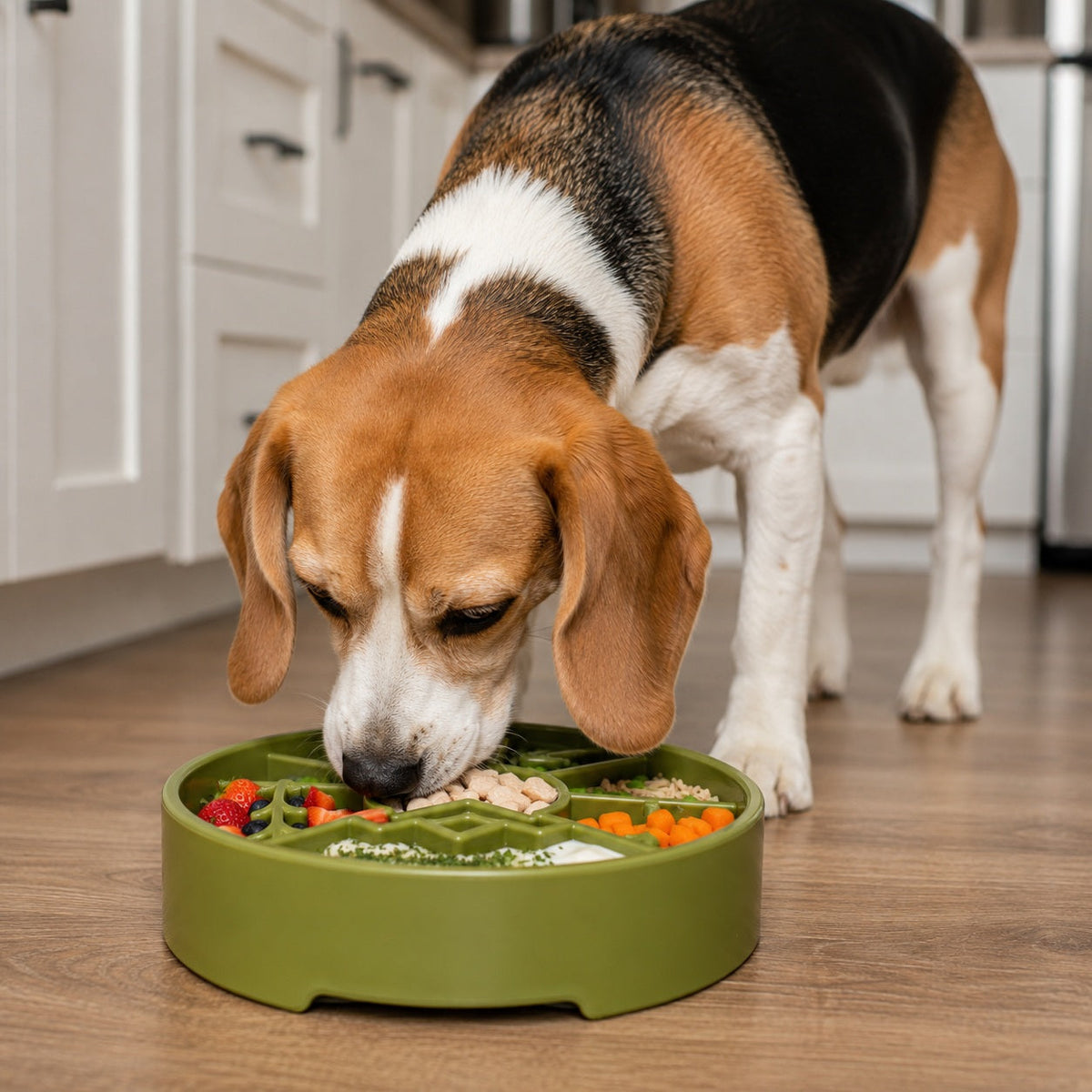 SodaPup Great Outdoors Slow Feeder Dog Bowl