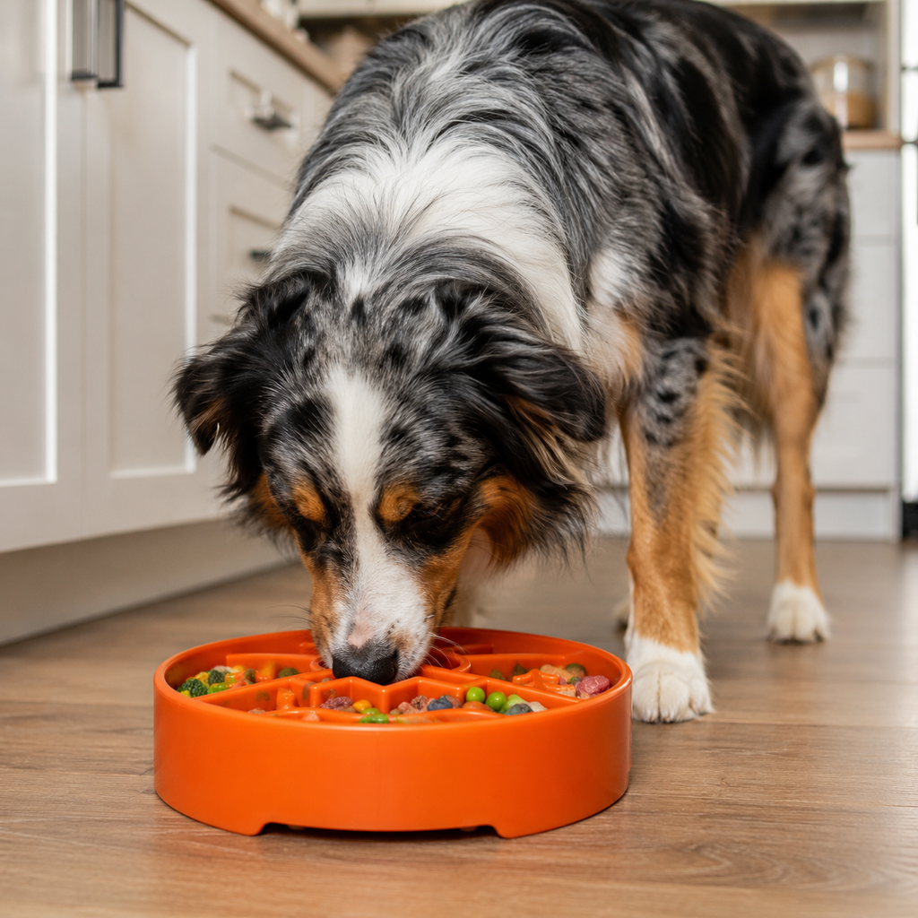 SodaPup Great Outdoors Slow Feeder Dog Bowl