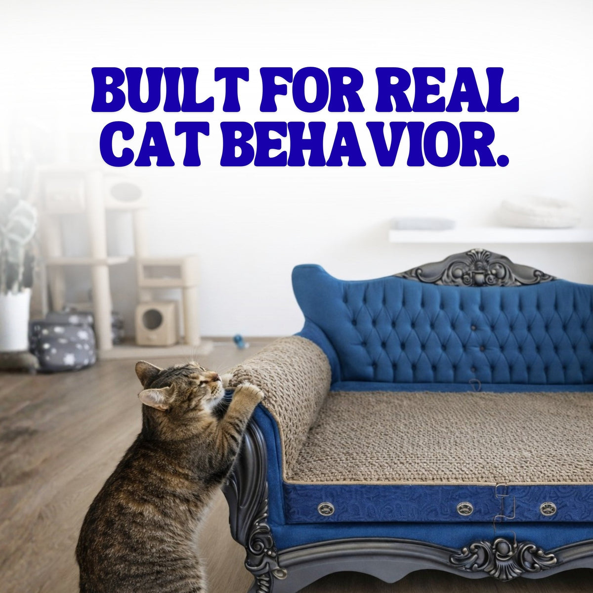 Catfidence Cardboard Cat Scratcher Sofa