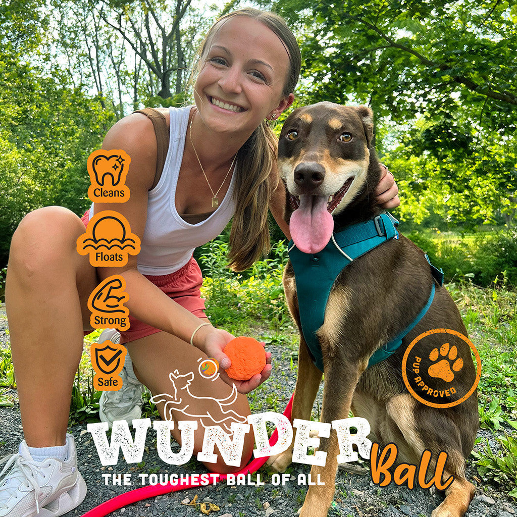 WUNDERball Natural Rubber Fetch Ball
