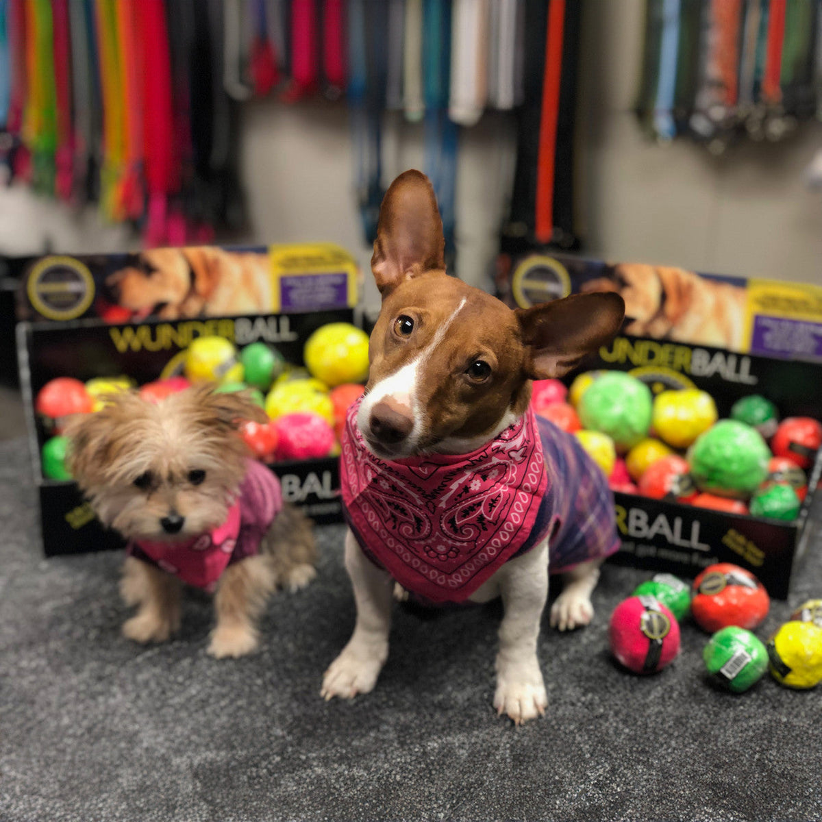 WUNDERball Natural Rubber Fetch Ball