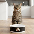 "Cat Accepted" Ceramic Pet Bowl