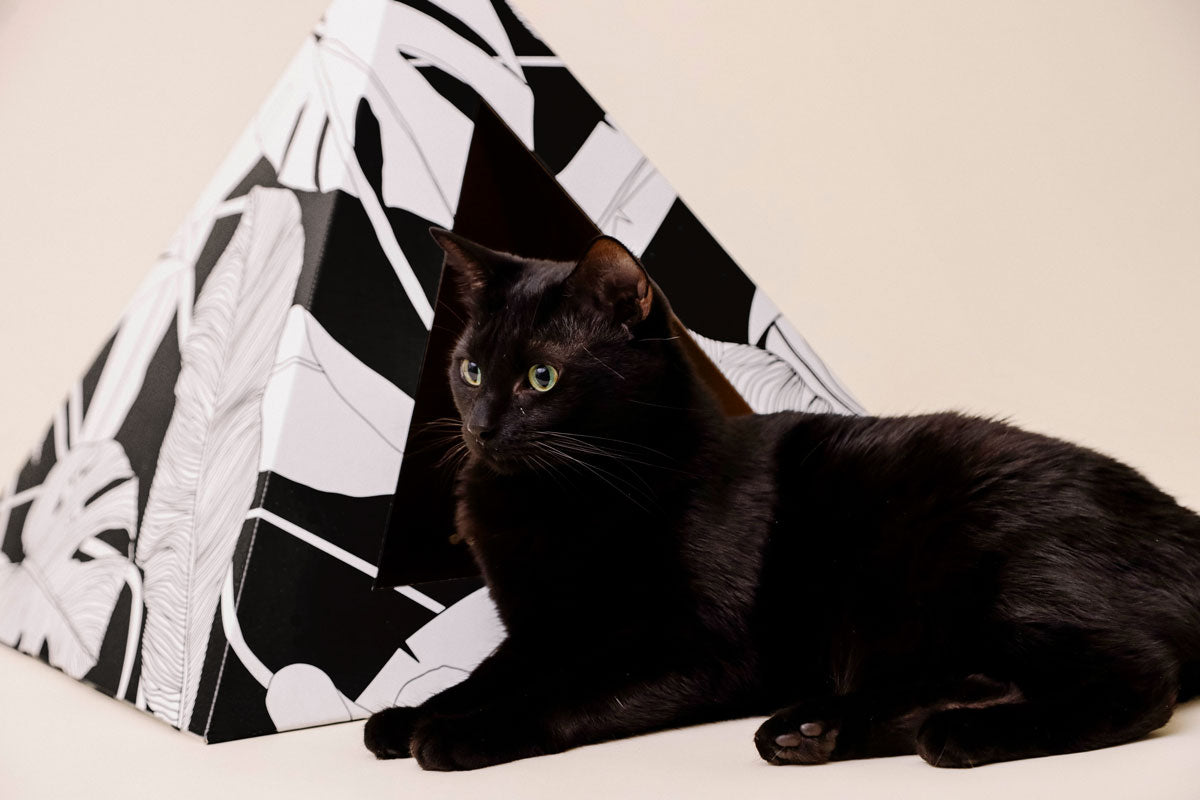 KittyKardboard 'Dark Paradise' Cat Pyramid House