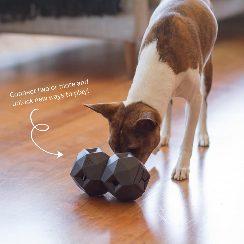 Up Dog Odin Treat Dispensing Toy