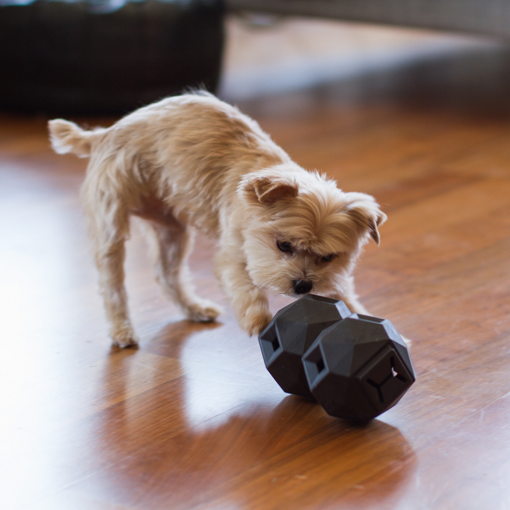 Up Dog Odin Treat Dispensing Toy