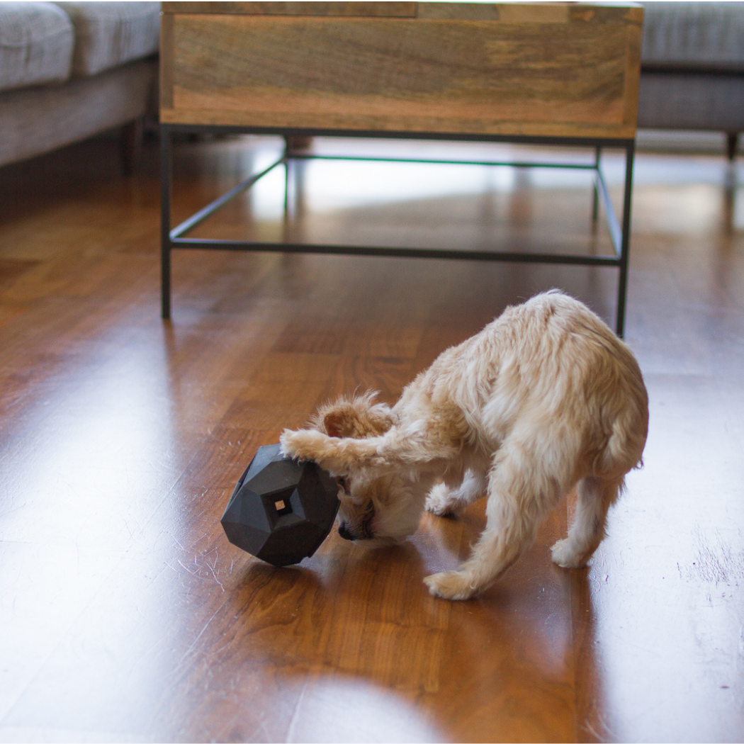 Up Dog Odin Treat Dispensing Toy