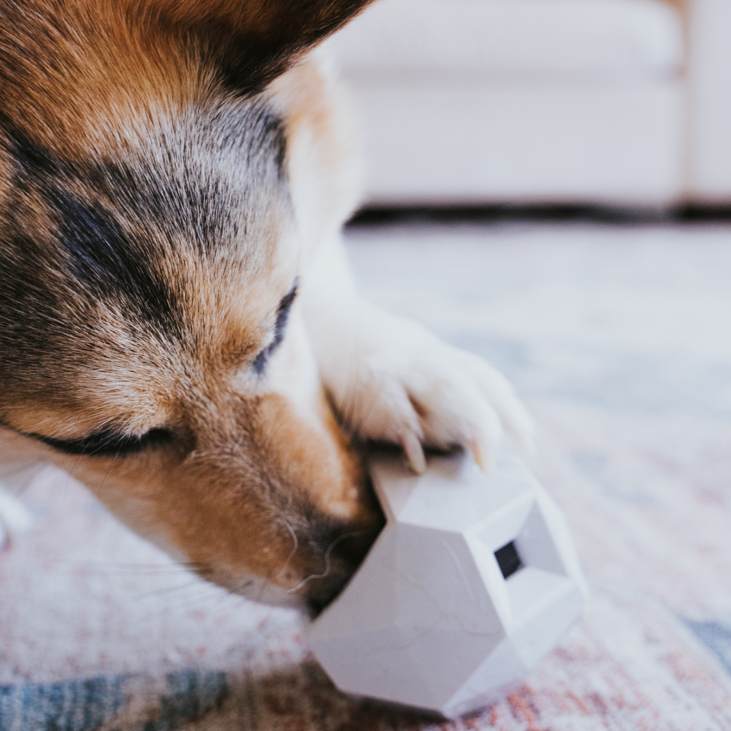 Up Dog Odin Treat Dispensing Toy