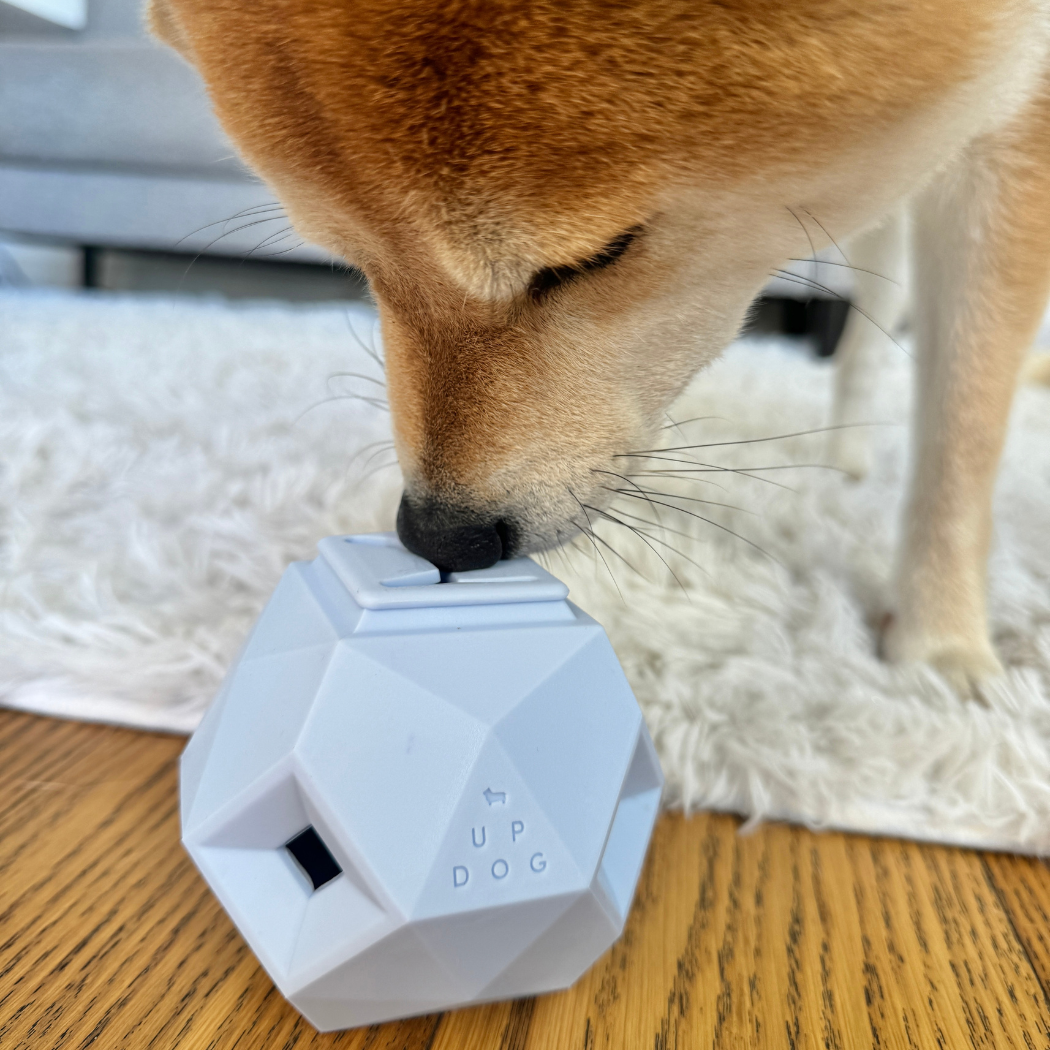 Up Dog Odin Treat Dispensing Toy
