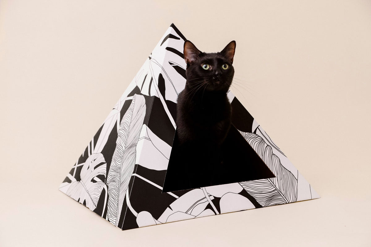 KittyKardboard 'Dark Paradise' Cat Pyramid House