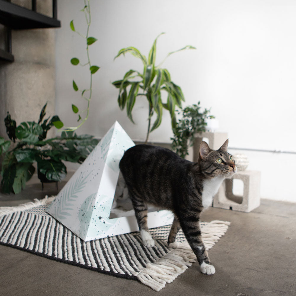 KittyKardboard 'Oasis' Cat Pyramid House