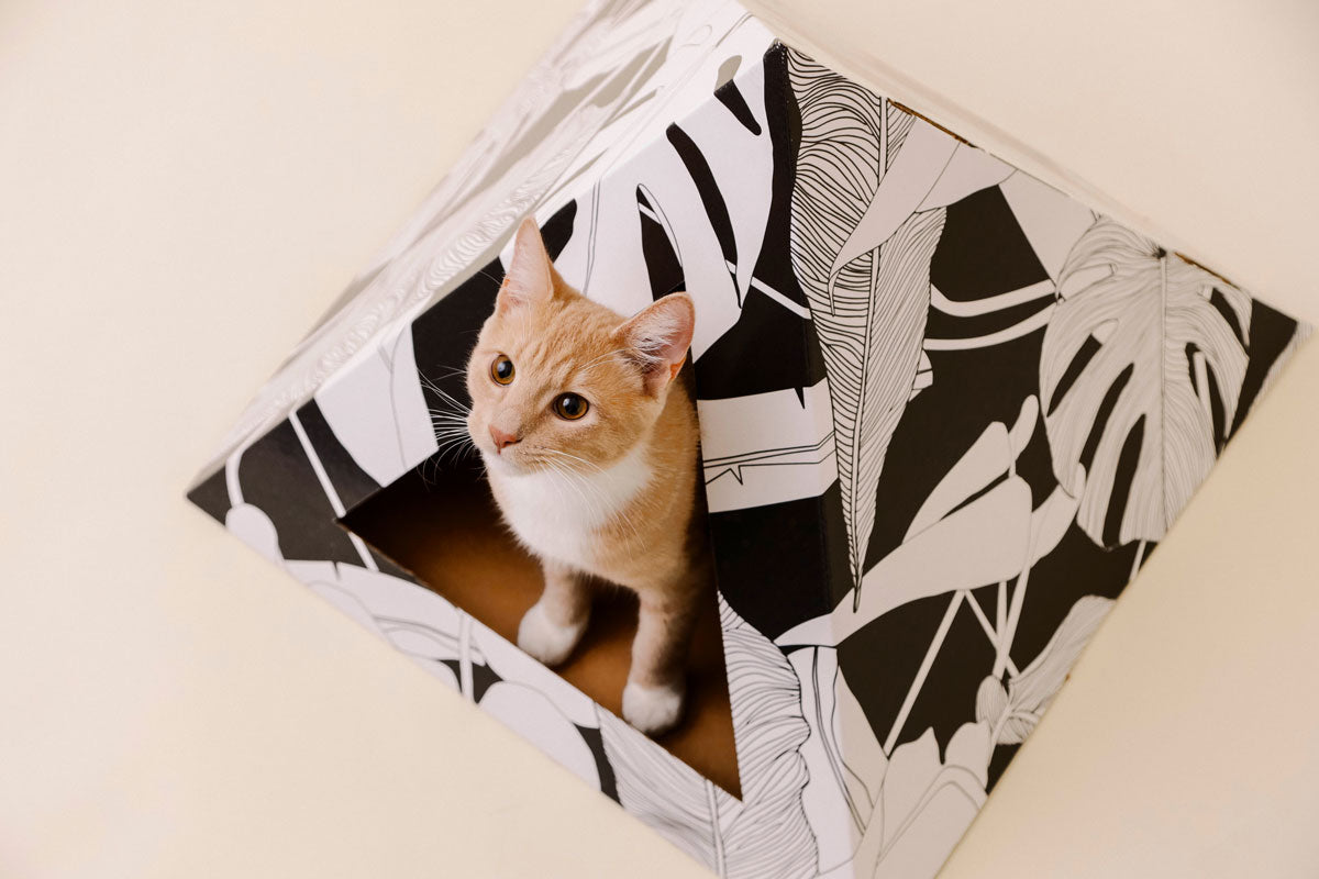 KittyKardboard 'Dark Paradise' Cat Pyramid House