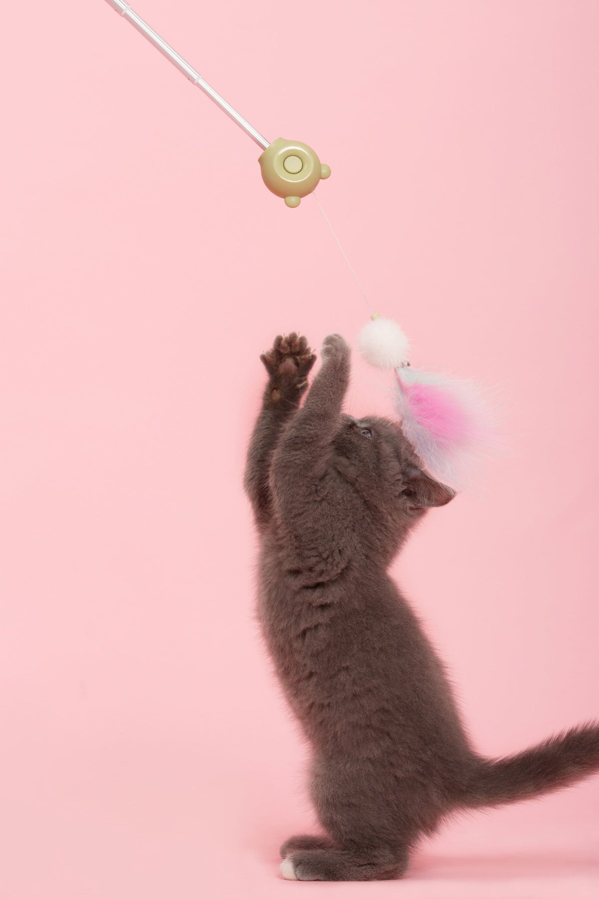 Pet Life KITIQUE 3-in-1 Feather & Laser Cat Wand
