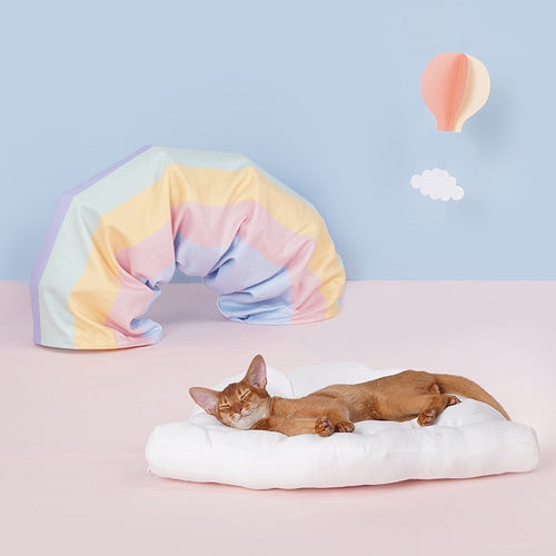Collapsible Cat Tunnel with Removable Bed