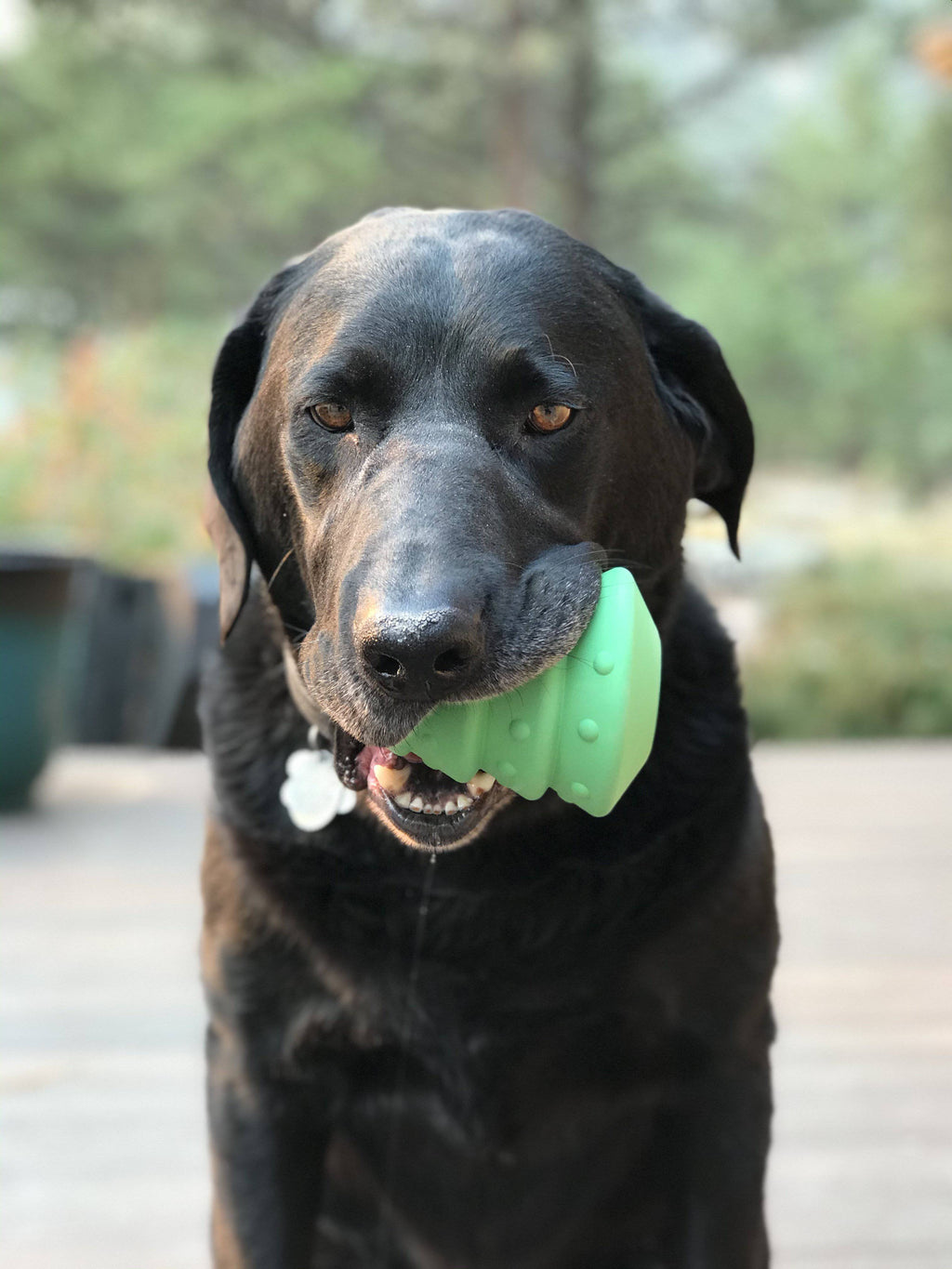 SodaPup Christmas Tree Treat-Dispensing Chew Toy