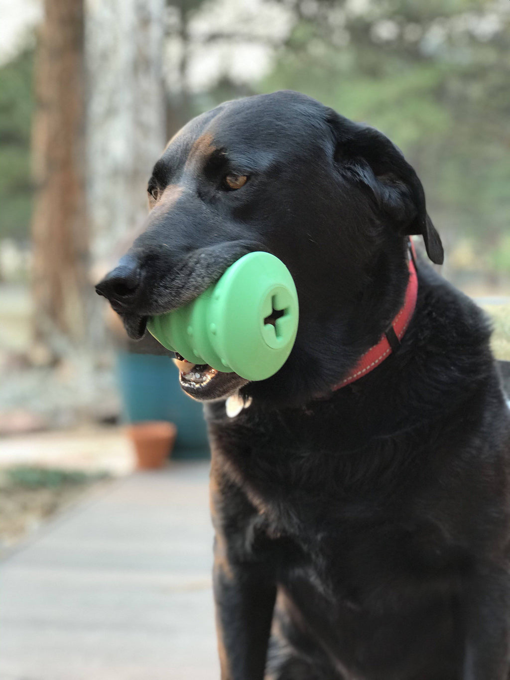 SodaPup Christmas Tree Treat-Dispensing Chew Toy