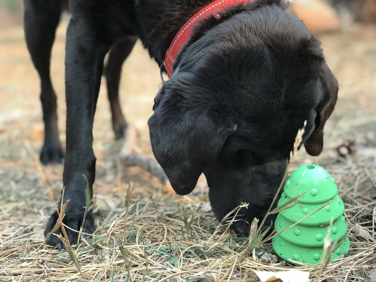 SodaPup Christmas Tree Treat-Dispensing Chew Toy