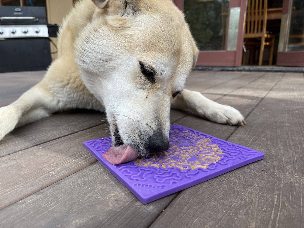 SodaPup Bones eMat Lick Mat for Dogs & Cats
