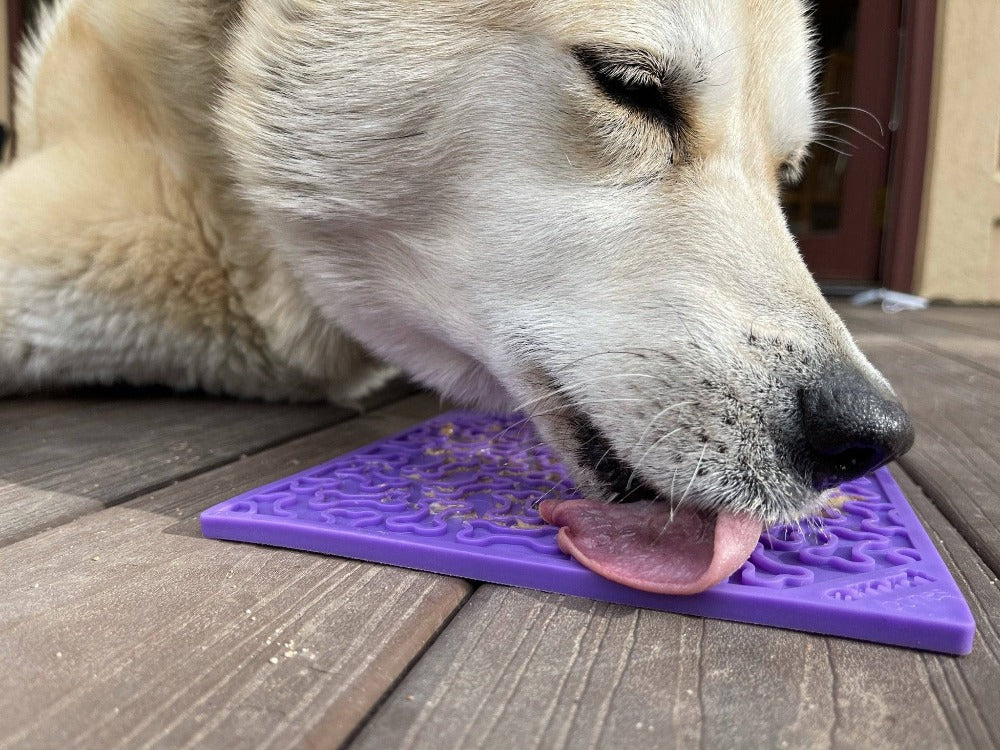 SodaPup Bones eMat Lick Mat for Dogs & Cats