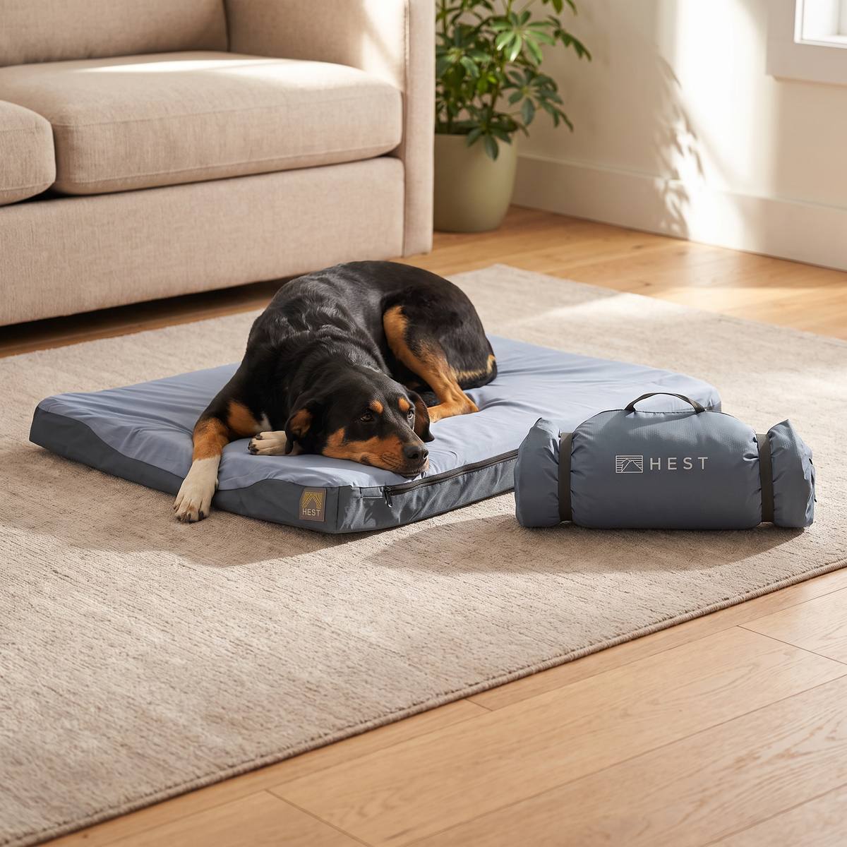 HEST memory foam dog bed with its carry bag in a cozy living room (scene created with AI; product unchanged)